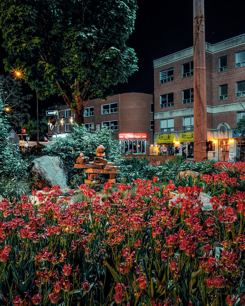 Urban Landscape 0089